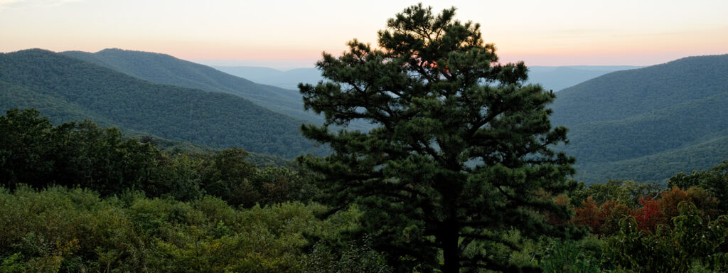 Photograph of mountains and forests